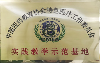 中国医药教育协会特色医疗工作委员会实践教学示范基地